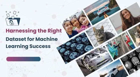 Harnessing the Right Dataset for Machine Learning Success