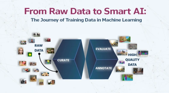 From Raw Data to Smart AI: The Journey of Training Data in Machine Learning