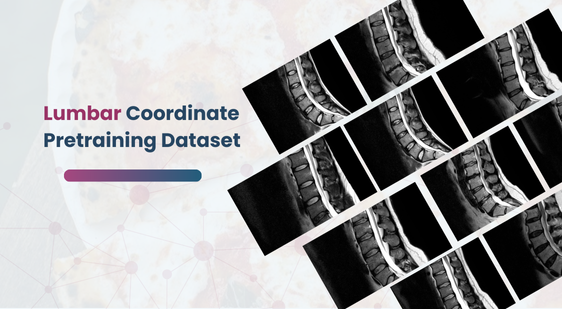 Lumbar Coordinate Pretraining Dataset