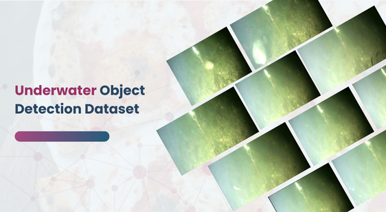 Underwater Object Detection Dataset